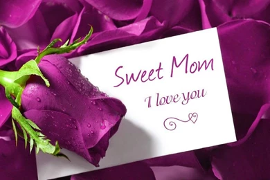 Mother's Day Hd Mobile Wallpapers, Best HD Theme   Festival Chaska