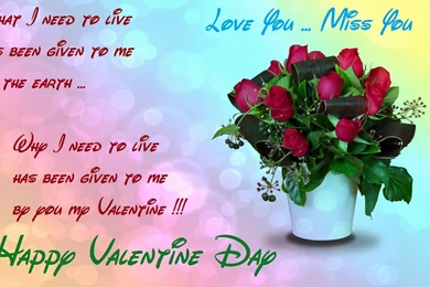 Amazing Valentine's Day HD Wallpapers, Photo's Images   Festival ...