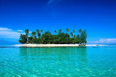 Download High Quality Images Free Hd Pictures 4 HD Wallpapers ...