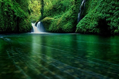 Nice Wallpapers: High Resolution Nature Wallpapers