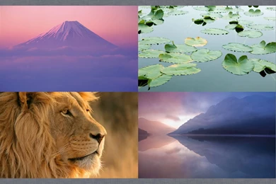 Download Mac OS X Lion DP3 Wallpapers On CrystalXP.net   Wallpapers
