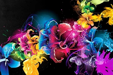 High Resolution Wallpapers HD Free Download