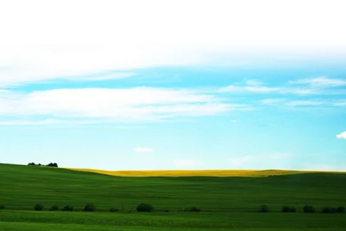 Tecnologie Al Servizio Dell'ecologia – Ecomotive Solutions