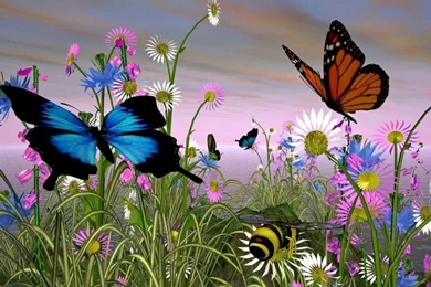 Beautiful Butterflies Wallpapers   175028
