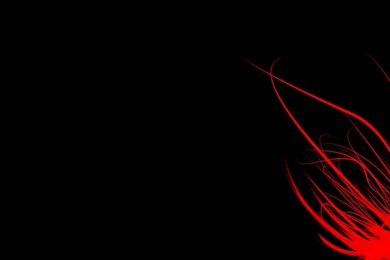 Miscellaneous Wallpapers HD Free Download