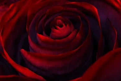 Post Your Homescreen Wallpapers That Look Best On Passport Screen ...