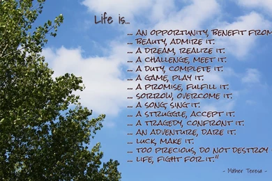 Wallpapers Quotes About Life. QuotesGram