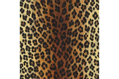 Leopard print brown beige wallpaper.jpg