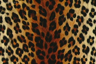 Animal Skins