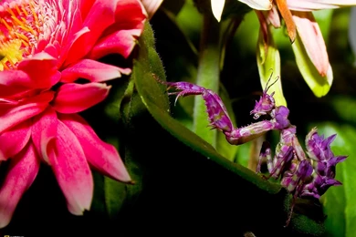 29141_1600x1200 wallpaper cb1290198480.jpg