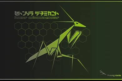 Praying Mantis By LouieS On DeviantArt
