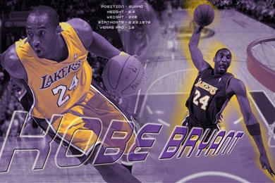 Lakers Kobe Bryant Wallpapers   140925
