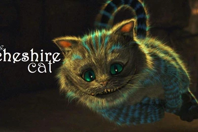 Pic > Alice In Wonderland Cat Name