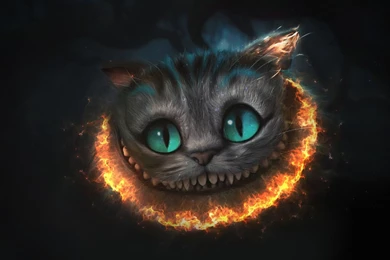 Cheshire Cat HD Wallpaper, Cheshire Cat Photos