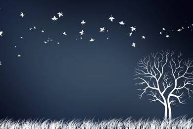 Symbol Category   WalOps.com