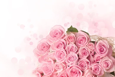 Floral Wallpapers 31086   Flowers Photo   Flowers