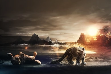 Cute Friends Creative HD Wallpapers   New HD Wallpapers