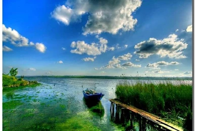 Best Scenery (id: 69521) – BUZZERG