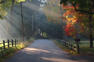 Scenery Wallpapers 8   Best Wallpapers Collection