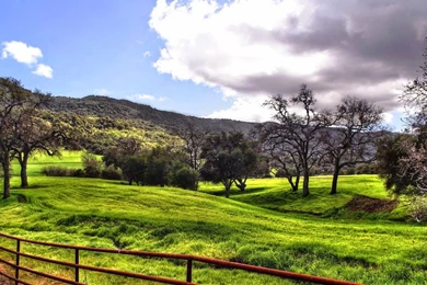 Live Wallpapers HD 12 For Windows 10