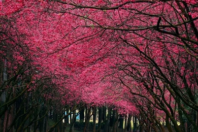 1024x1024 Mobile Phone Wallpapers Download   20   1024x1024 ...