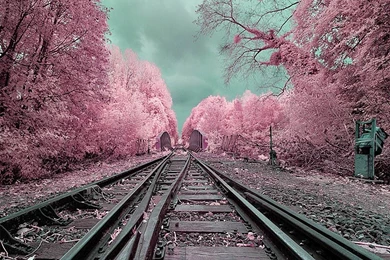 1440x1280 Mobile Phone Wallpapers Download   93   1440x1280 ...