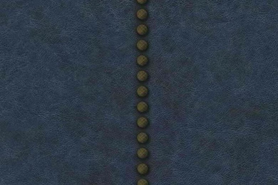 Black Nail Head Stripe Wallpapers   Interior Home Decor