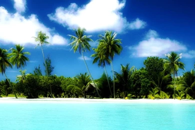 Tropical Beach Scene Desktop Backgrounds Nature Beach Photos Of ...