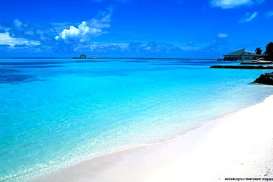 Wallpapers Beach Scenes