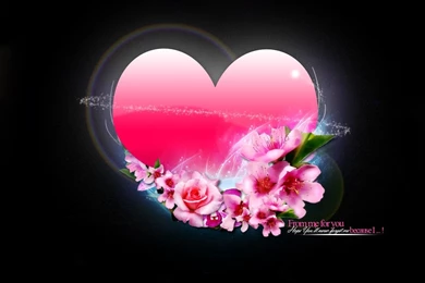 Amazing Hd Love Wallpapers Desktop