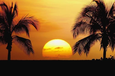 Sunset Beach Backgrounds   Wallpapers Cave