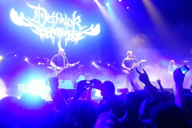 Beach With Forest In The Distance[1920x1080] : Offensive_Wallpapers