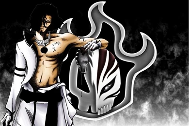 Download Bleach Espada Coyote Stark Hollow Wallpapers 1024x768 ...