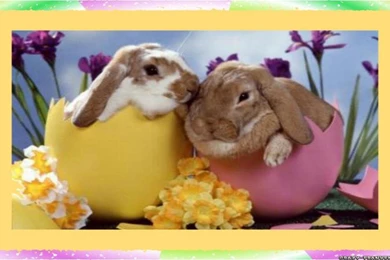 Free Desktop Easter Wallpapers   Wallpapers Cave