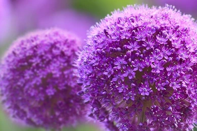 Best Nokia Mobile Wallpapers, Backgrounds And Photos Hd