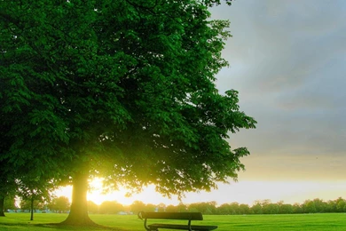 Wallpapers Art   Part 2