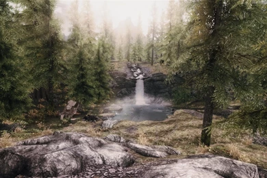 A creek into a waterfall into a pond in a forest a very beautiful area wallpaper.jpeg