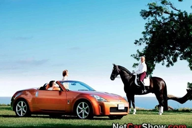 Nissan Fairlady Z Roadster (2004) Picture