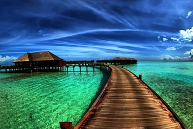 Nature Backgrounds, Mother Nature, Windows, Flower Images ...