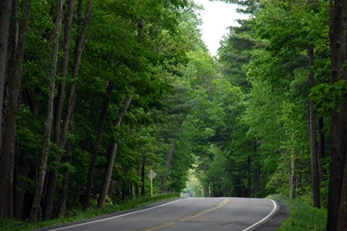 Nature Images HD Wallpapers 1794