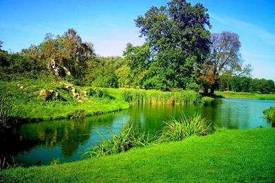 Picture Backgrounds Cool Nature Wallpapers 8   HD Wallpapers ...