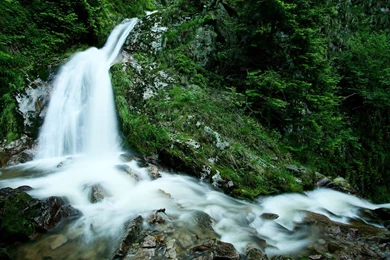 Gallery For   Cool Nature Backgrounds Wallpapers Hd