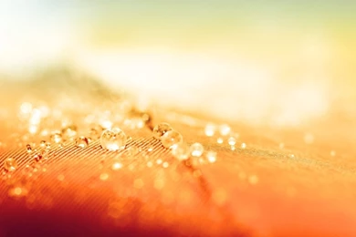 Nature Archives   Page 3 Of 15   HD Wallpapers Source