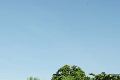 Blue sky dsc04500 wp.jpg