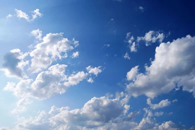 Germany / Rudesheim / Other Blue Sky