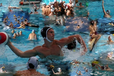 Tigers Water Polo » Water Polo