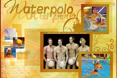 DeviantArt: More Like Wallpapers Waterpolo By Duckie16