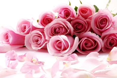 Valentine's Wallpapers