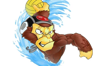 Waterpolo Monkey By Tomo Croman On DeviantArt