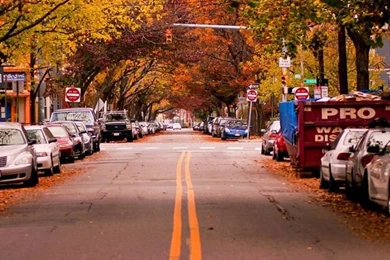 Autumn iPhone 5s Wallpapers